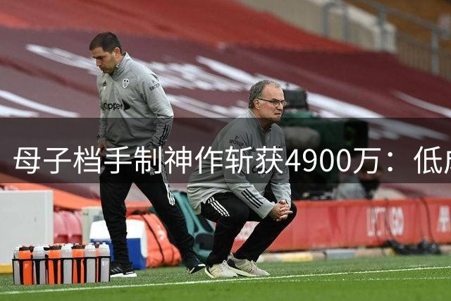 母子档手制"神作"斩获4900万：低成本+意外走红的暴富密码
