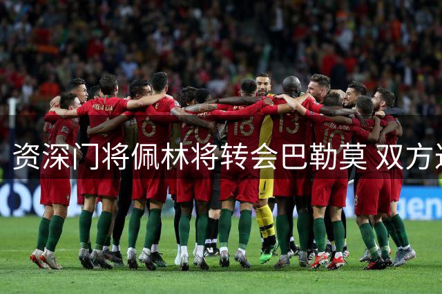 资深门将佩林将转会巴勒莫 双方达成初步协议